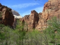 22avr_13.22 - Zion National Park.jpg
